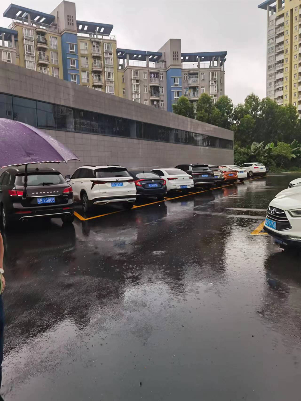 東莞美光達(dá)電子廠門(mén)前綠化_3